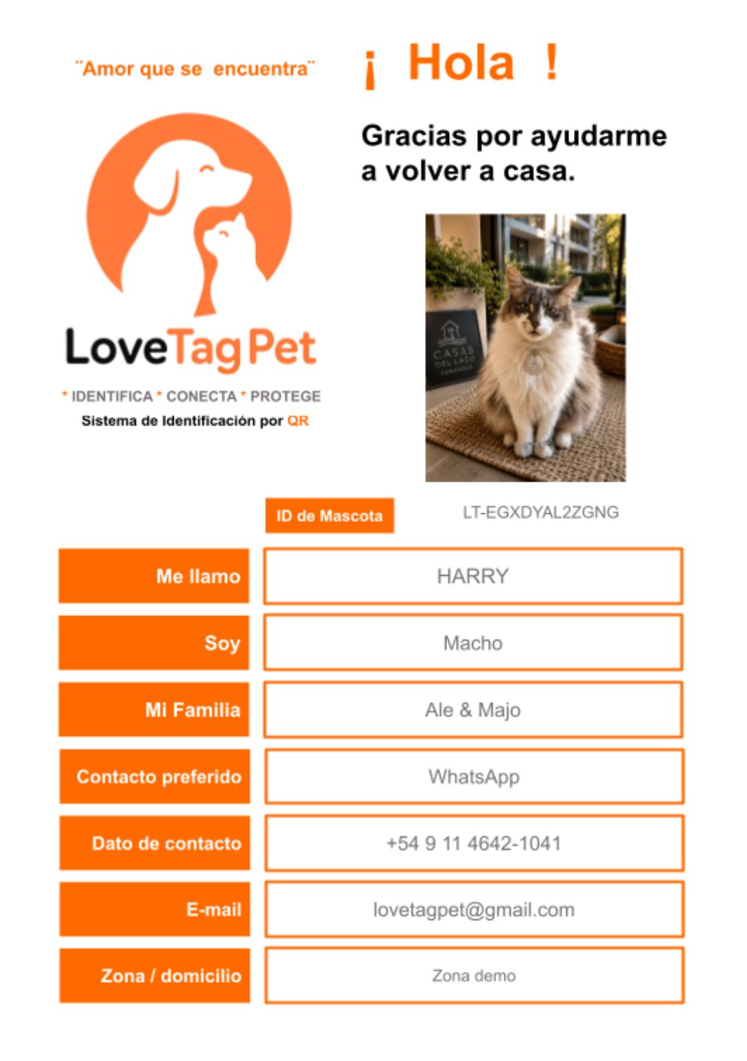 Flyer grande