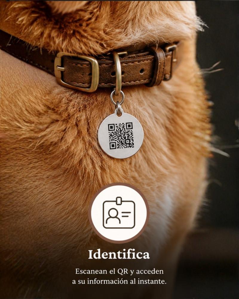 Identifica