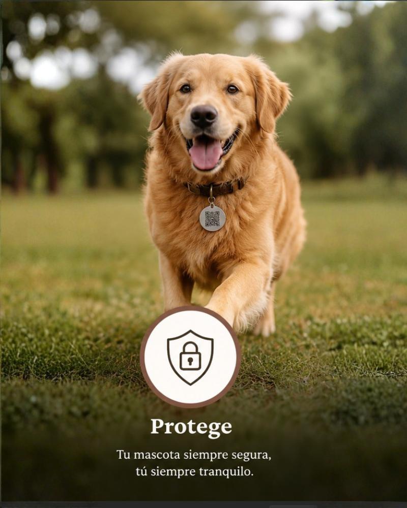 Protege